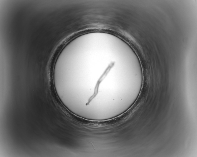 X0000087641318200705311319