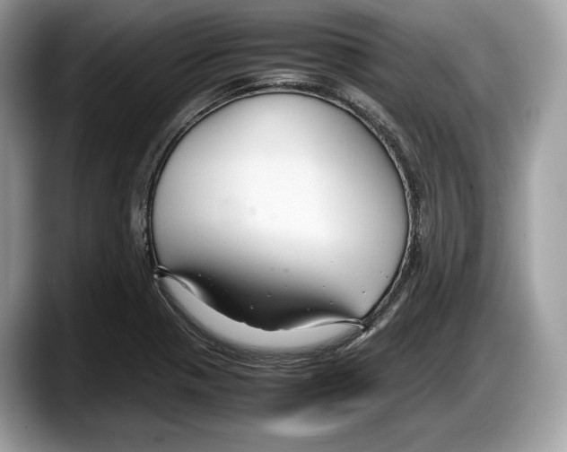 X0000087641321200705311319