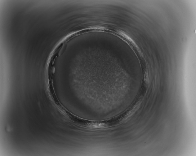 X0000087641323200705311319