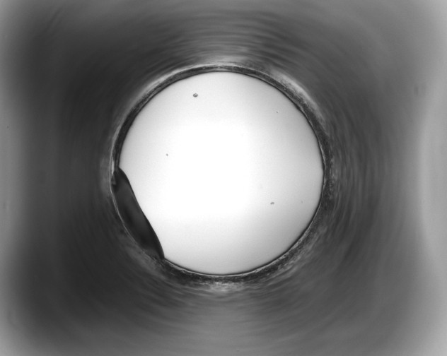 X0000087641324200705311319