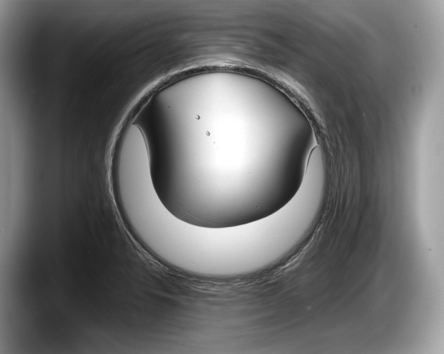 X0000087641326200705311319