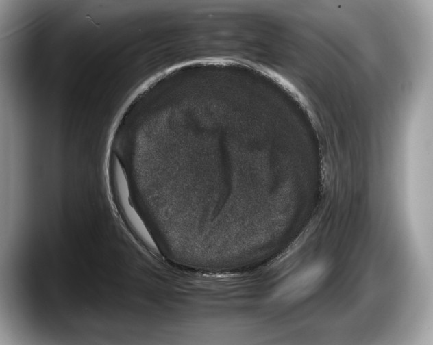 X0000087641327200705311319