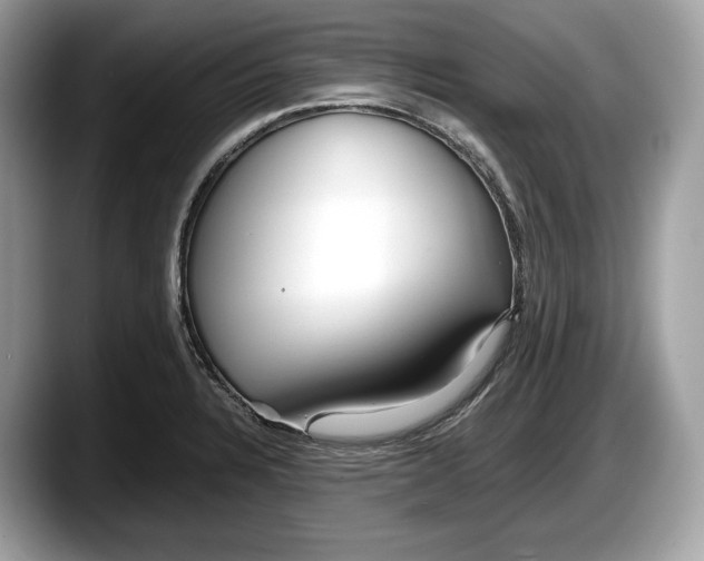 X0000087641328200705311319