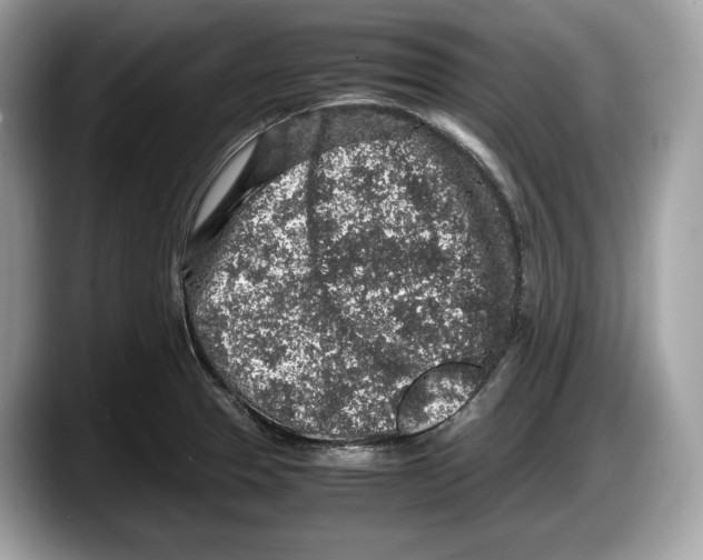 X0000087641329200705311319