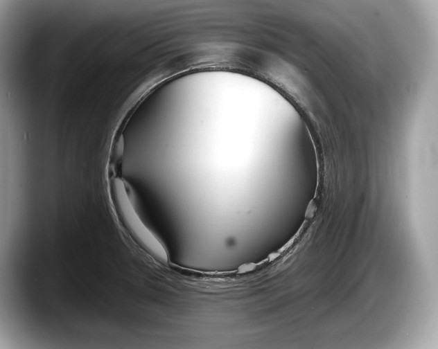 X0000087641330200705311319