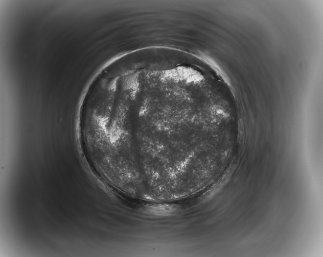 X0000087641331200705311319