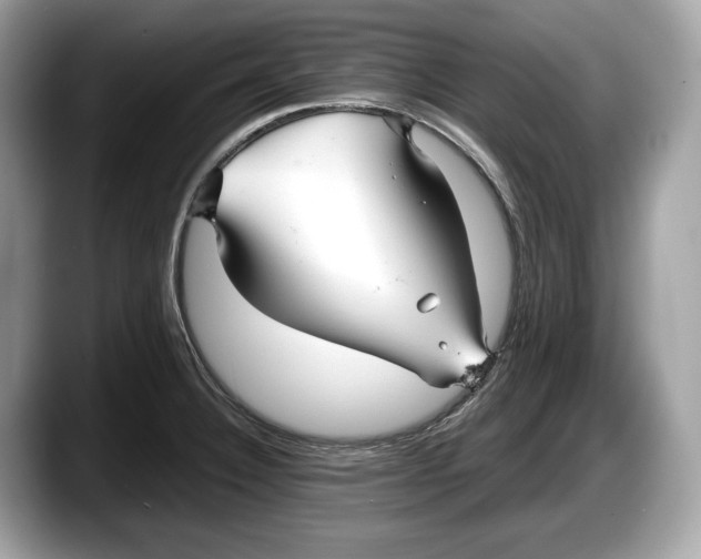 X0000087641332200705311319