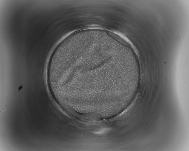 X0000087641333200705311319