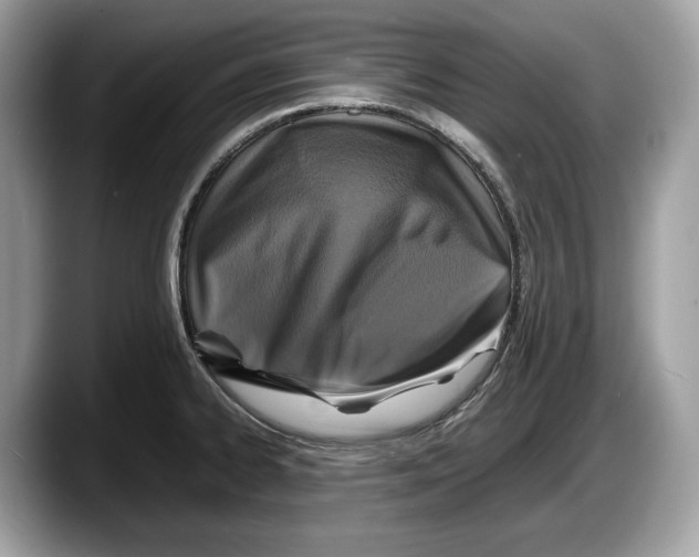 X0000087641334200705311319