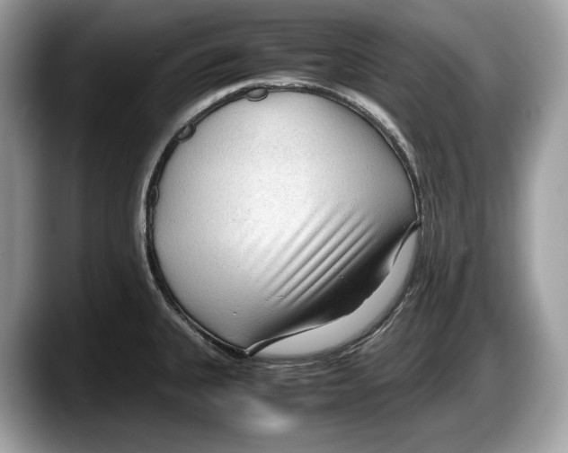 X0000087641335200705311319