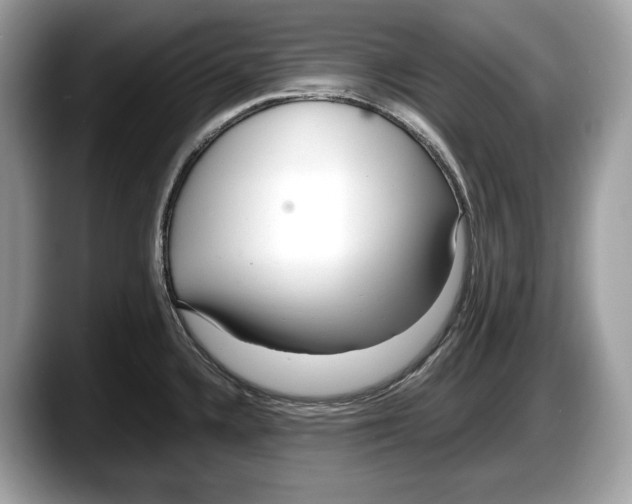 X0000087641336200705311319