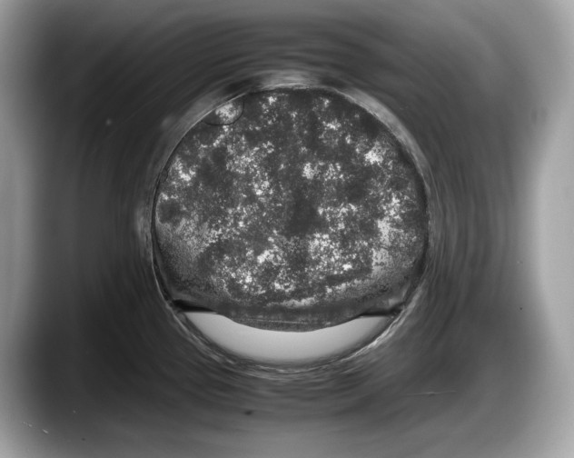 X0000087641337200705311319