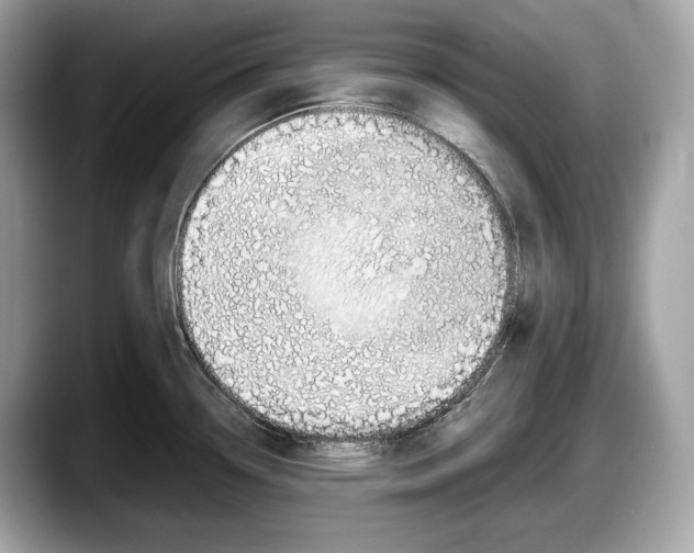 X0000087641338200705311319