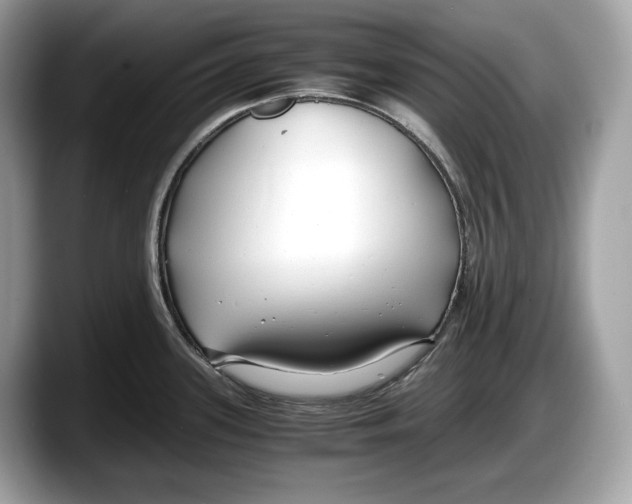 X0000087641339200705311319