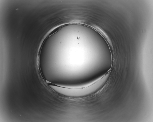 X0000087641340200705311319