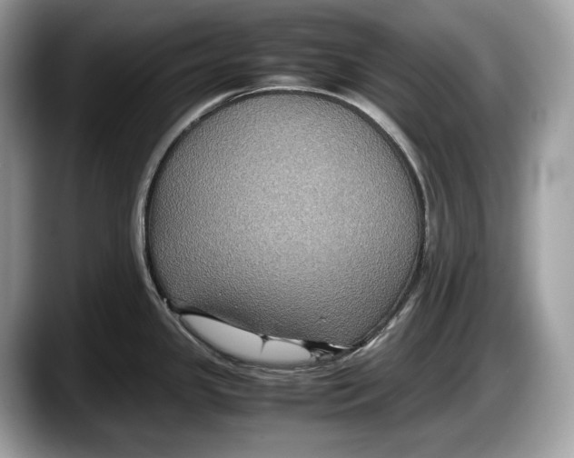 X0000087641341200705311319