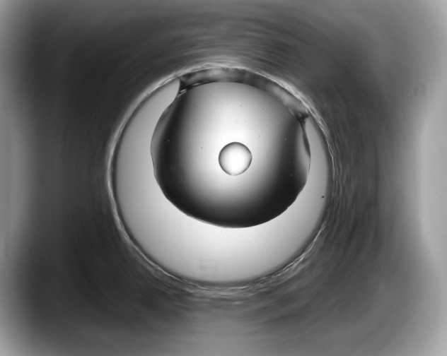 X0000087641342200705311319