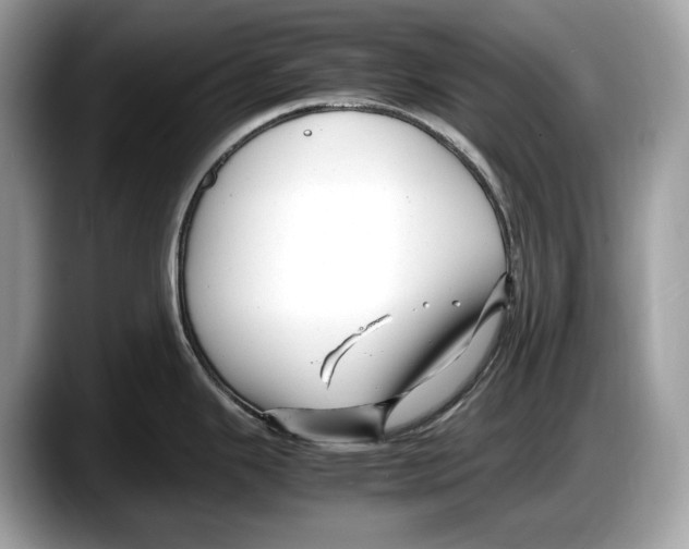 X0000087641343200705311319