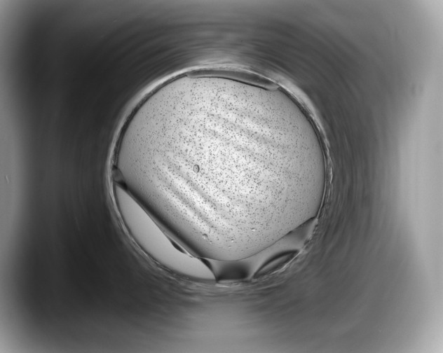 X0000087641344200705311319