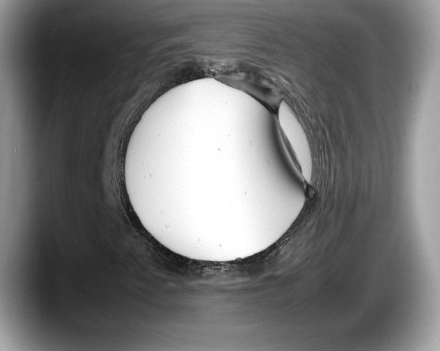 X0000087641345200705311319