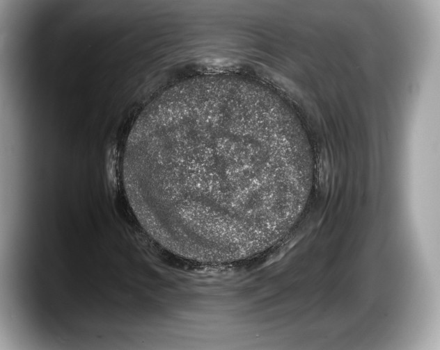 X0000087641346200705311319