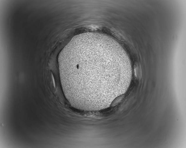 X0000087641347200705311319