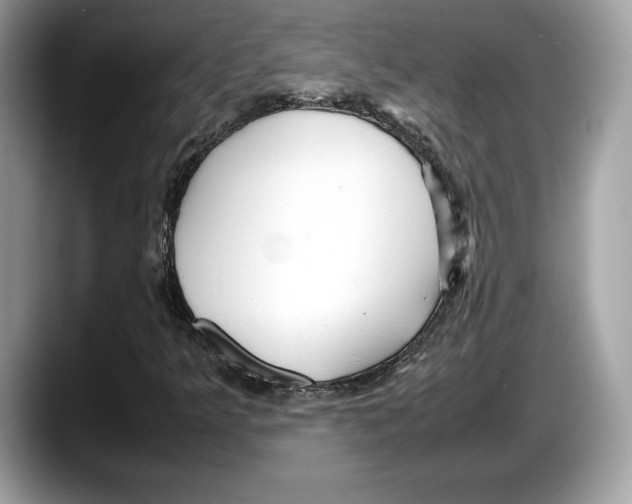 X0000087641349200705311319