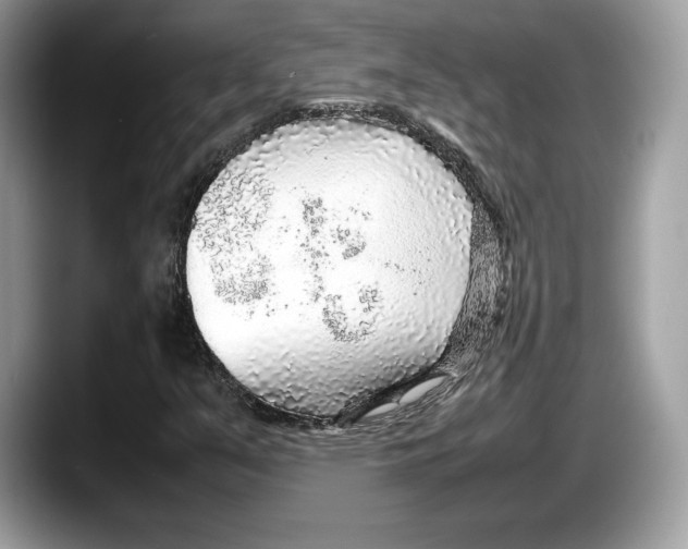 X0000087641351200705311319