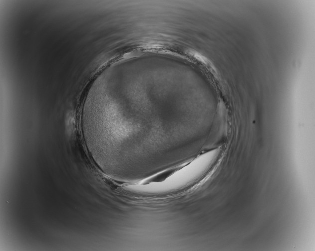 X0000087641353200705311319