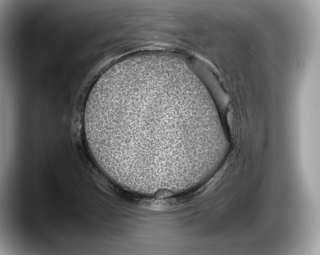 X0000087641355200705311319