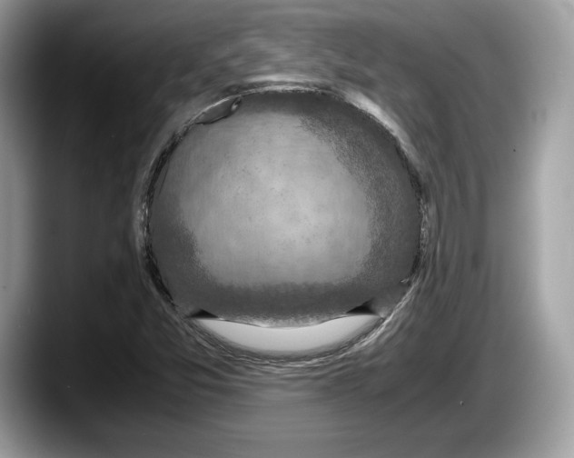 X0000087641357200705311319