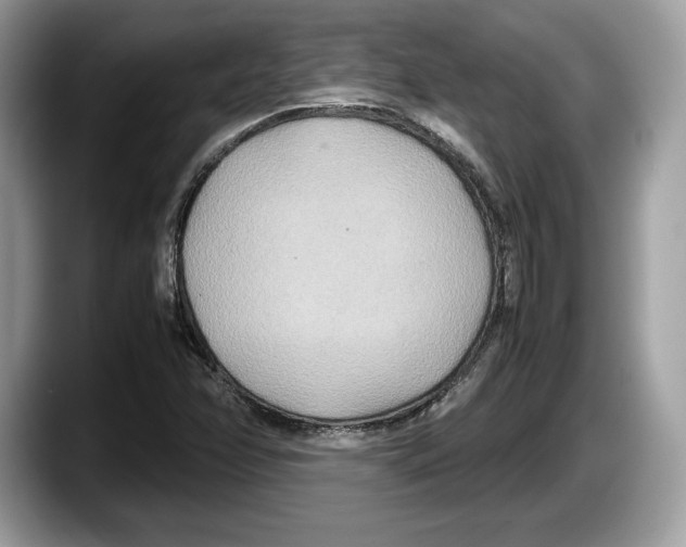 X0000087641358200705311319