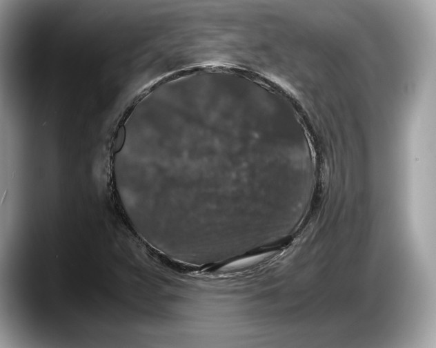 X0000087641359200705311319