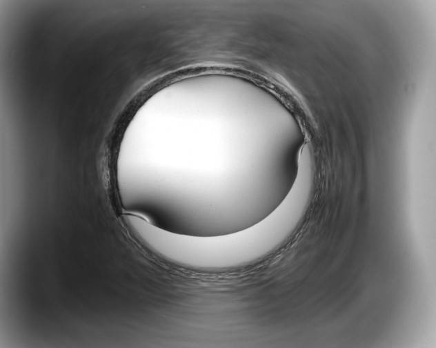 X0000087641360200705311319