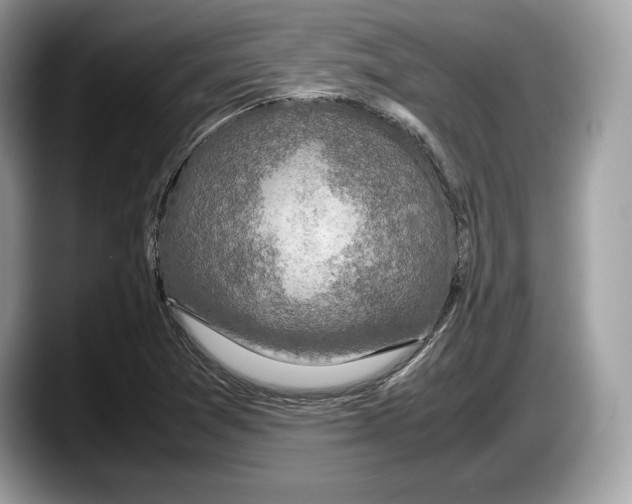 X0000087641361200705311319