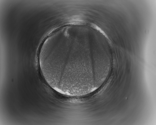 X0000087641362200705311319