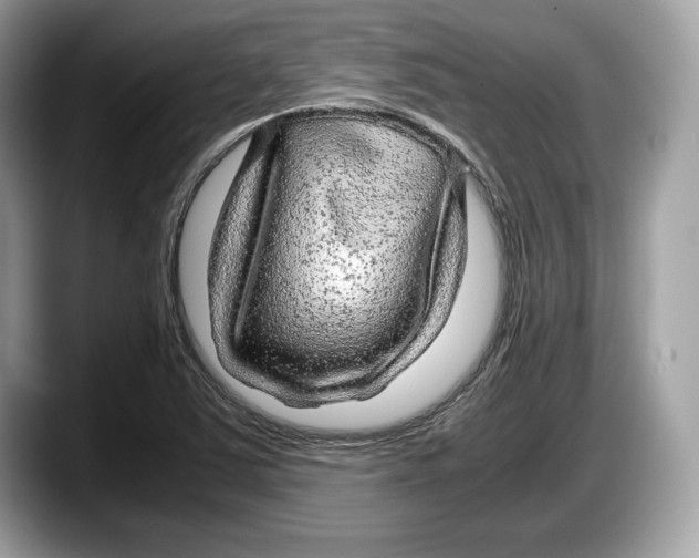 X0000087641363200705311319