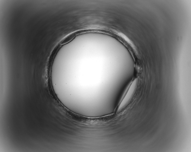 X0000087641364200705311319