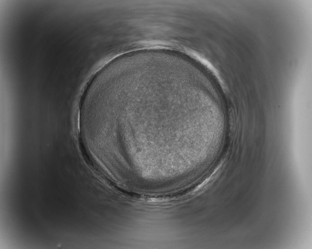 X0000087641365200705311319