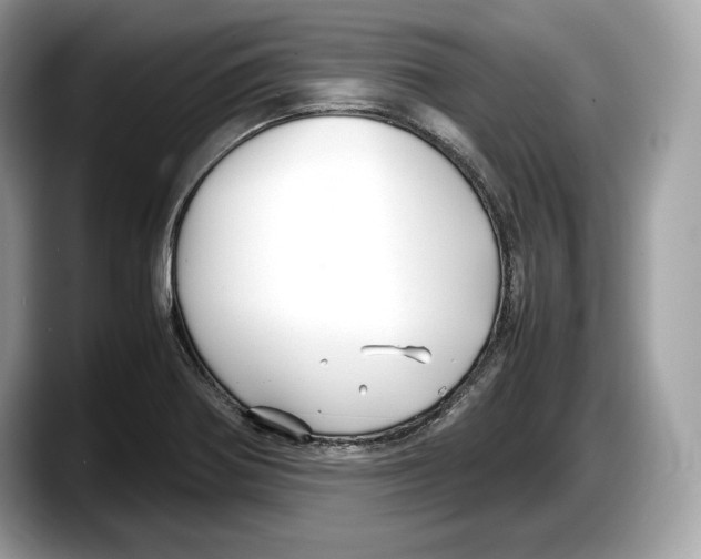 X0000087641370200705311319