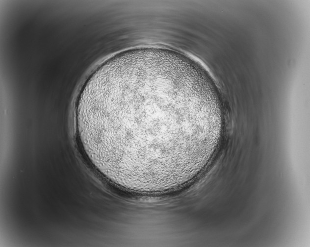 X0000087641371200705311319