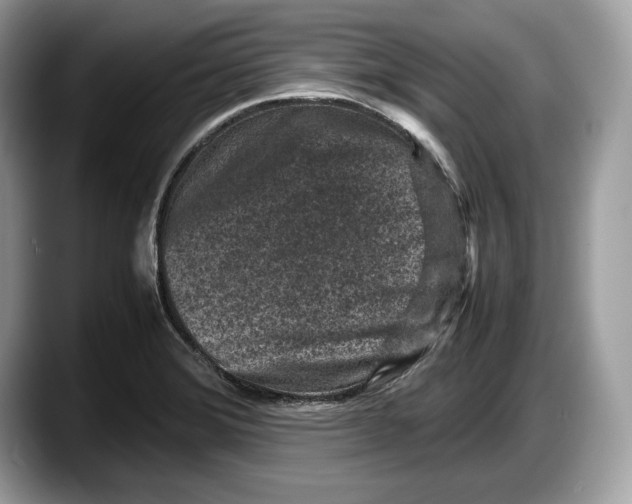 X0000087641372200705311318