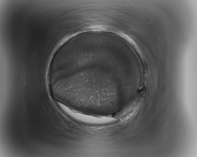 X0000087641373200705311318