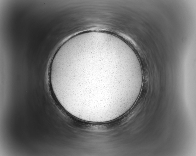 X0000087641375200705311318