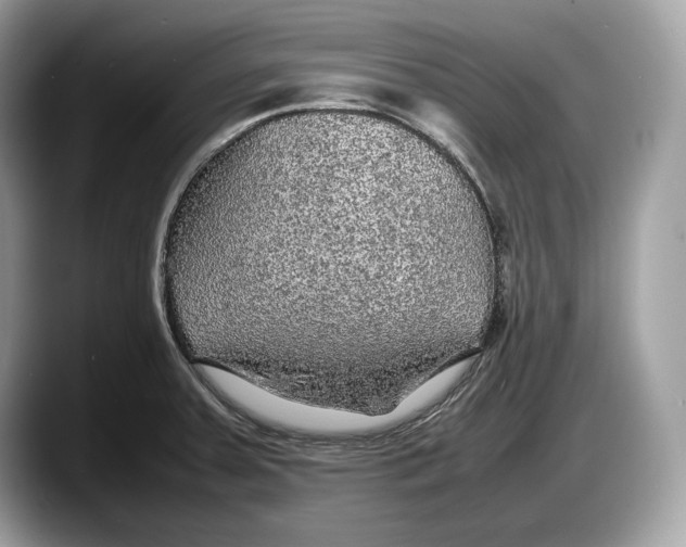 X0000087641379200705311318