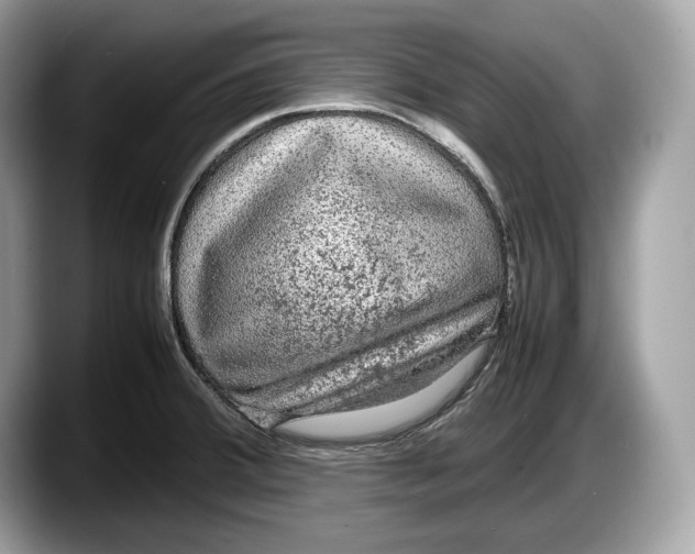 X0000087641380200705311318