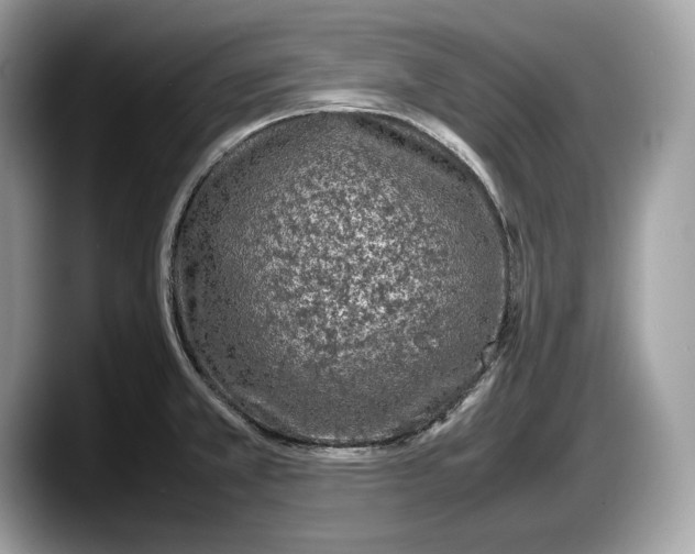 X0000087641381200705311318