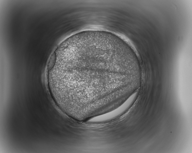 X0000087641382200705311318