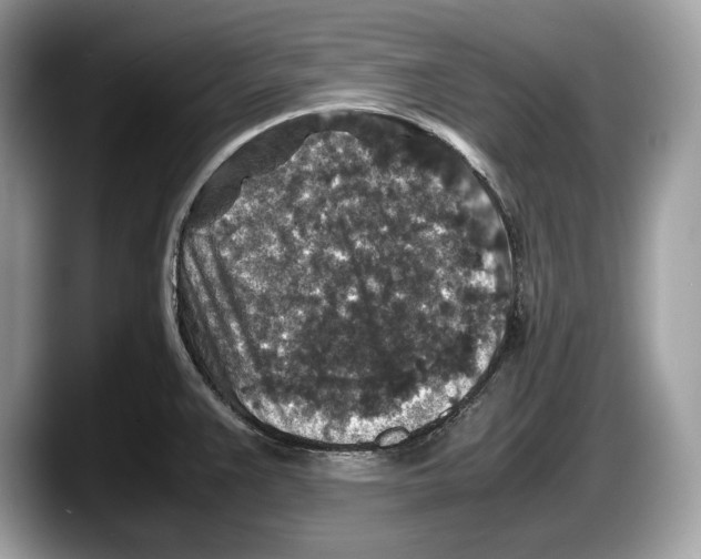 X0000087641383200705311318