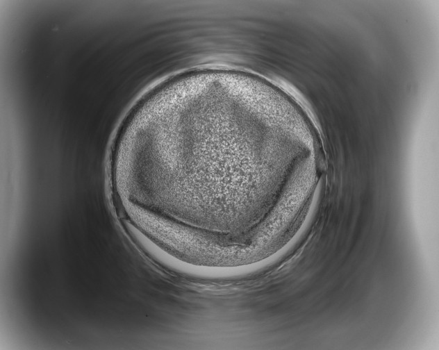 X0000087641384200705311318